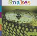 Snakes