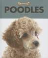 Poodles