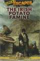 The Irish Potato Famine