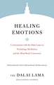 Healing Emotions