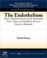 The Endothelium, Part I