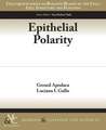 Epithelial Polarity