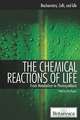 The Chemical Reactions of Life: From Metabolism to Photosynthesis