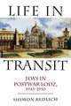 Life in Transit: Jews in Postwar Lodz, 1945-1950