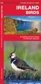 Ireland Birds, 2nd Edition: A Folding Pocket Guide to Familiar Species