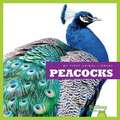 Peacocks