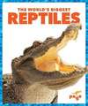 The World's Biggest Reptiles