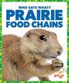 Prairie Food Chains