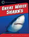 Great White Sharks