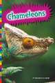 Chameleons