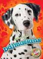 Dalmatians