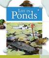 Life in Ponds