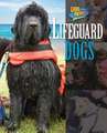 Lifeguard Dogs