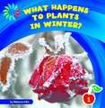 What Happens to Plants in Winter?