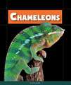 Chameleons