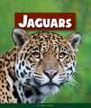 Jaguars