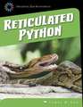 Reticulated Python