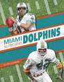 Miami Dolphins All-Time Greats