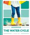 The Water Cycle