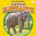 Asian Elephants