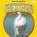 Whooping Cranes