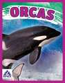 Orcas