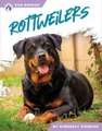 Rottweilers