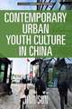 Contemporary Urban Youth Culture in China