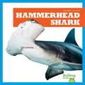 Hammerhead Shark