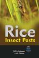 RICE INSECT PESTS