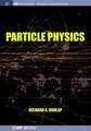 Particle Physics