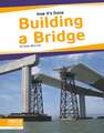 Building a Bridge