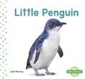 Little Penguin