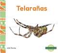 Telaraas (Webs)