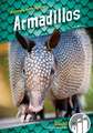 Armadillos