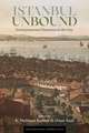 Istanbul Unbound: Environmental Histories of the City