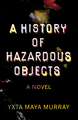 A History of Hazardous Objects: A Novel