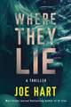 Where They Lie: A Thriller