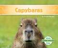 Capybaras