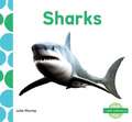 Sharks