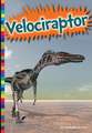 Velociraptor