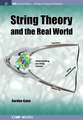 String Theory and the Real World