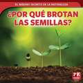 ¿por Qué Brotan Las Semillas? (How Seeds Sprout)