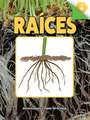 Raíces: Roots