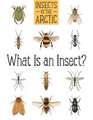 Insects of the Arctic: What Is an Insect?: English Edition