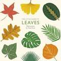 The Little Guide to Leaves