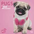 Pugs 2020 Mini Wall Calendar