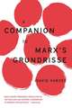 A Companion to Marx's Grundrisse