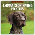 German Shorthaired Pointers - Deutscher Kurzhaar - Deutscher Kurzhaariger Vorstehhund 2025 - 16-Monatskalender