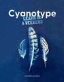 Cyanotype